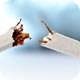 What is in a Cigarette?